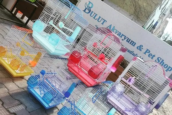 BULUT PET SHOP - Resim 2