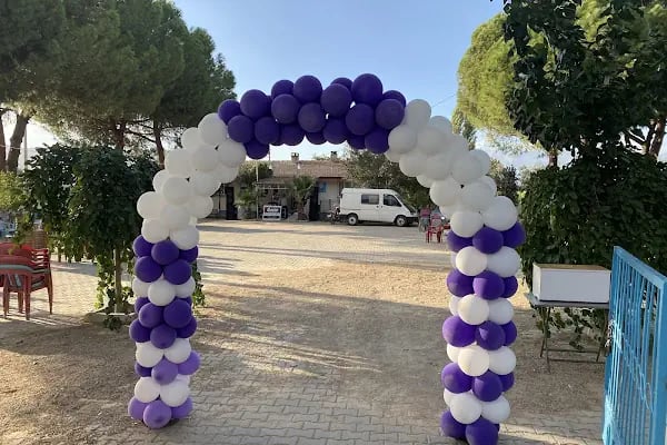 Serinkan Ticaret ve Organizasyon - Resim 16