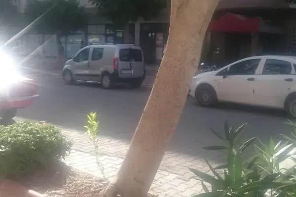 Bim-oba Göl Şubesi - Resim 8