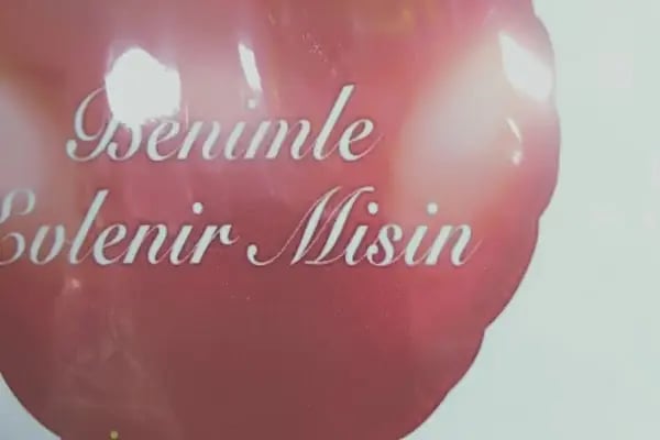 ÇARŞI 20 Oyuncak - Resim 13