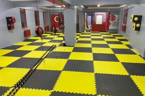 Sakarya E-T-N Kickboks spor kulübü - Resim 9