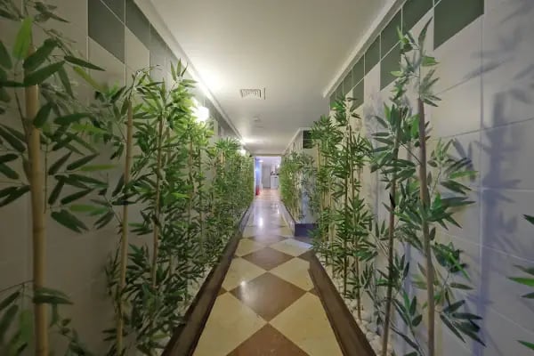 Green Healthy Club - Resim 15