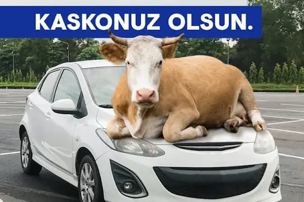 ALPER GÜNAYDIN SİGORTA - ANADOLU SİGORTA - Resim 5