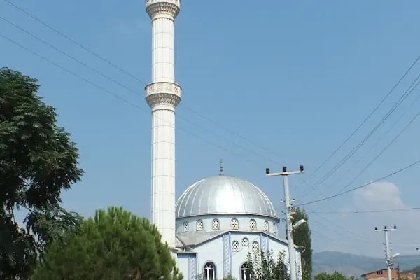 Özkan Oğulları Cami - Resim 1