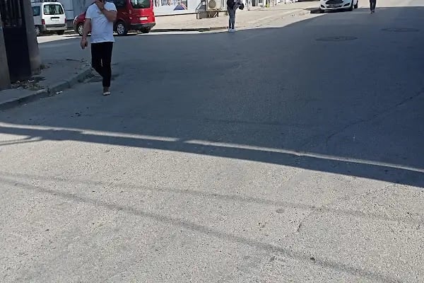 Arı Sitesi - Resim 1