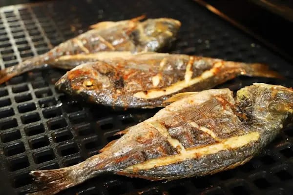 Çamlık Park Balık Restaurant - Resim 10