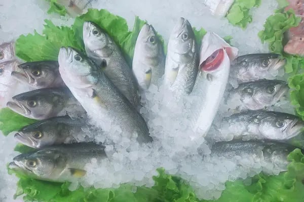 Çamlık Park Balık Restaurant - Resim 6