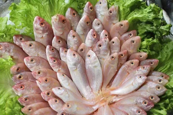 Çamlık Park Balık Restaurant - Resim 14