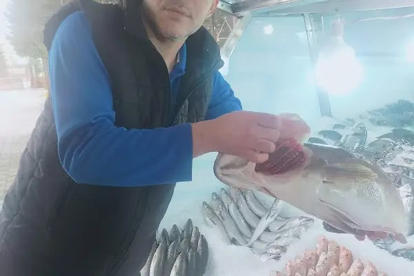 Çamlık Park Balık Restaurant - Resim 19