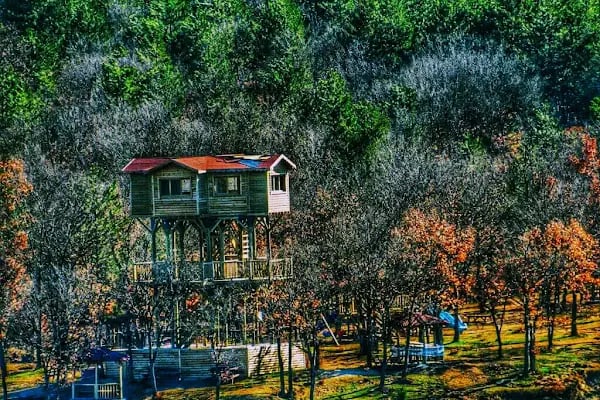 Enne Barajı Tabiat Parkı - Resim 20