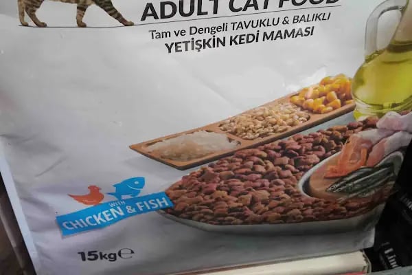 yiğitaras petşhop - Resim 19