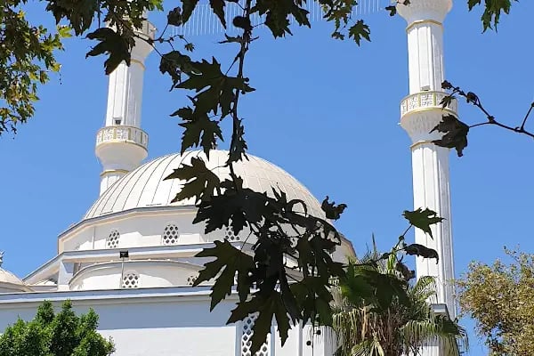 TURGUTREİS ÇINARALTI EV YEMEKLERİ - Resim 5