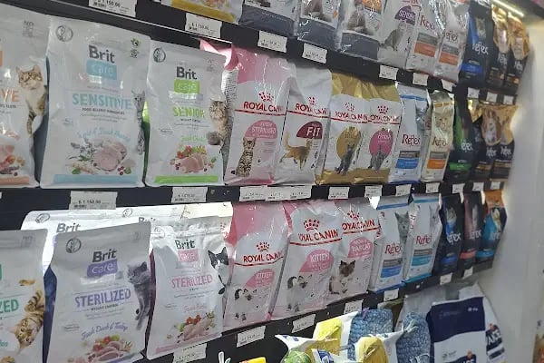 BİG PET SHOP - Resim 2