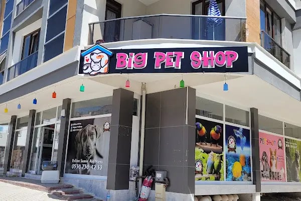 BİG PET SHOP - Resim 7