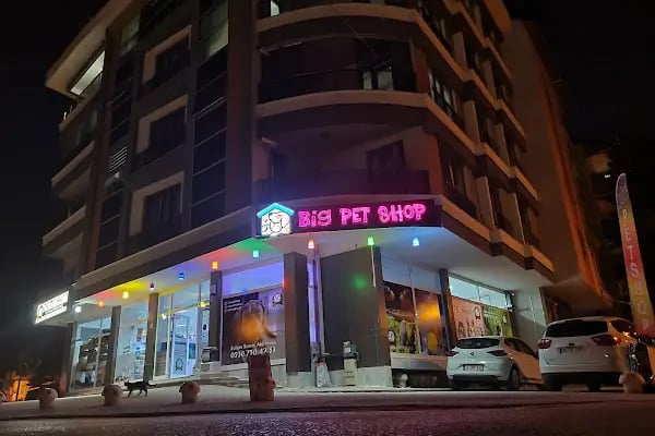 BİG PET SHOP - Resim 16