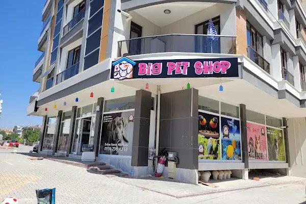 BİG PET SHOP - Resim 1