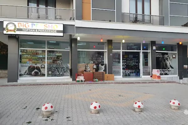 BİG PET SHOP - Resim 10