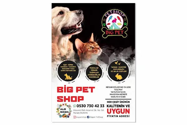 BİG PET SHOP - Resim 18