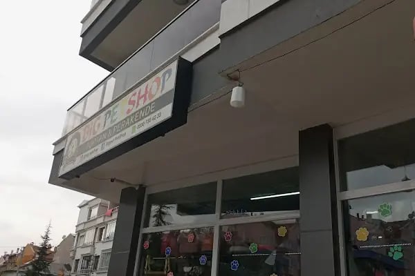 BİG PET SHOP - Resim 19