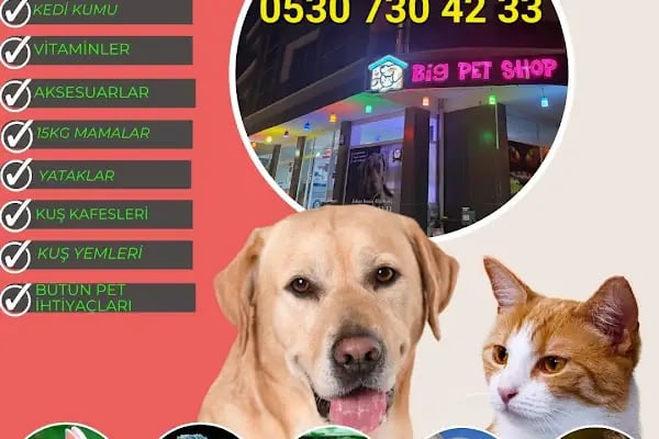 BİG PET SHOP - Resim 12