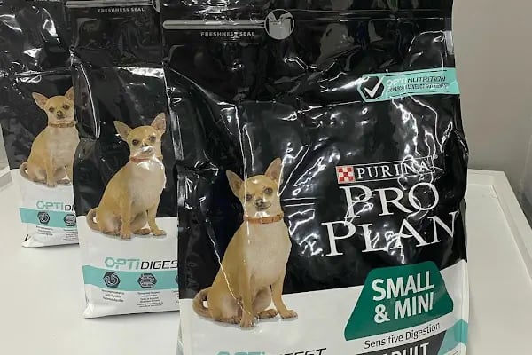 BİG PET SHOP - Resim 15