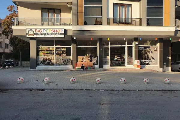 BİG PET SHOP - Resim 4