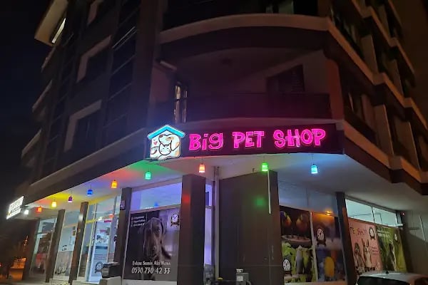 BİG PET SHOP - Resim 13