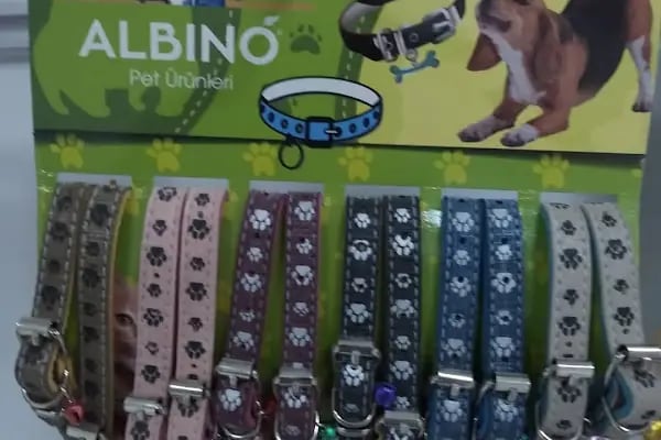 BİG PET SHOP - Resim 20