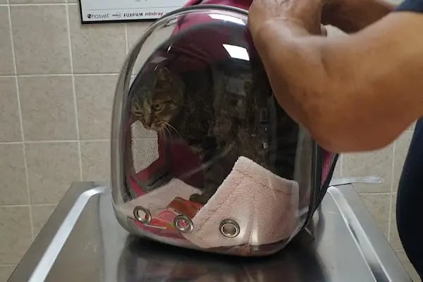 Medıcıne Veteriner Kliniği - Resim 17