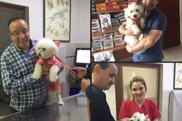 Medıcıne Veteriner Kliniği - Resim 19
