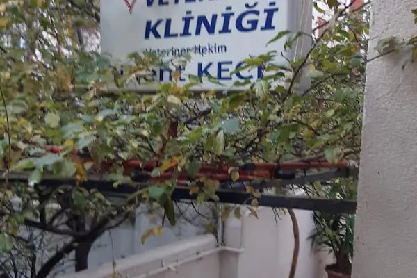 Medıcıne Veteriner Kliniği - Resim 3
