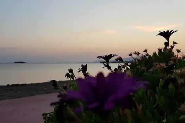 ŞAKRAKEYF - Resim 15