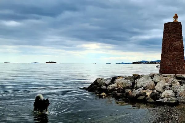 ŞAKRAKEYF - Resim 10