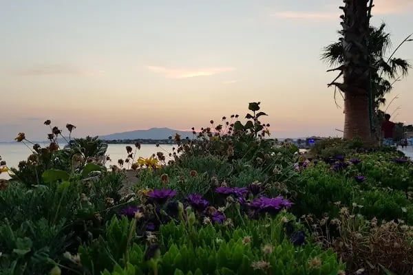 ŞAKRAKEYF - Resim 8