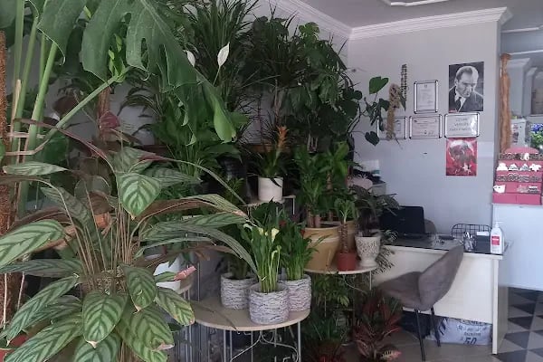 GÜNEŞ ÇİÇEK EVİ &amp; ORGANİZASYON - MUĞLA/BODRUM - Resim 8
