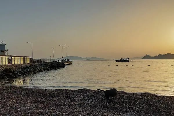 Suum Bodrum Hotel &amp; Beach - Resim 12