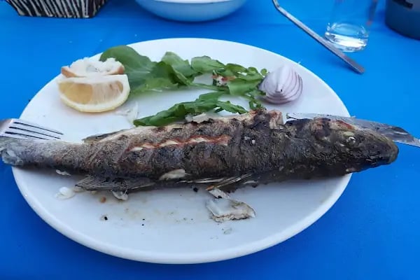 Suum Bodrum Hotel &amp; Beach - Resim 9