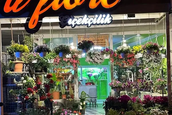 Bodrum Çiçekçilik - Nolina Florist Wedding &amp; Event Design - Resim 2