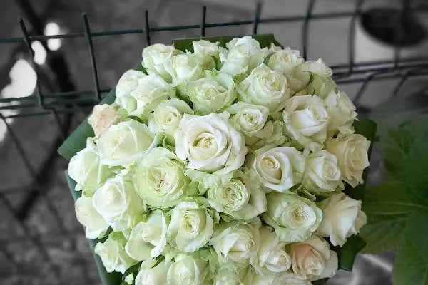 Bodrum Çiçekçilik - Nolina Florist Wedding &amp; Event Design - Resim 18