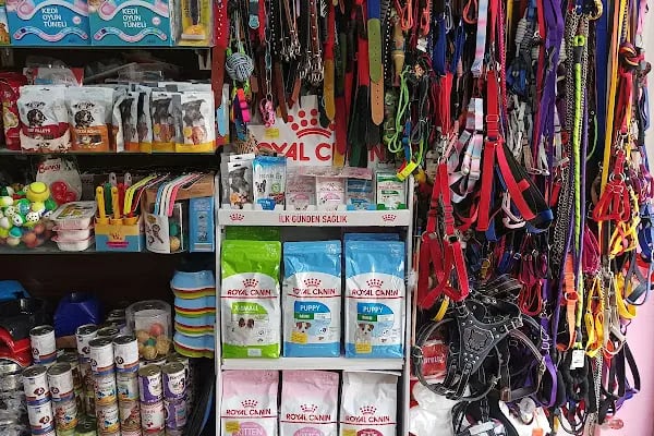 Nehir pet shop ve akvaryum - Resim 20