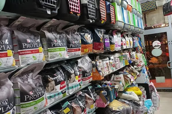 Nehir pet shop ve akvaryum - Resim 16