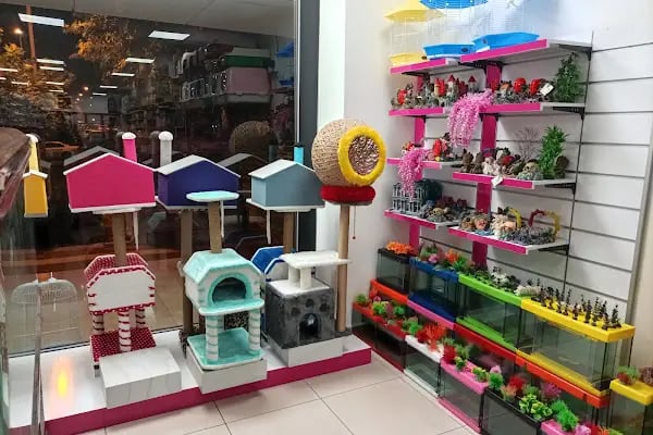 Nehir pet shop ve akvaryum - Resim 12