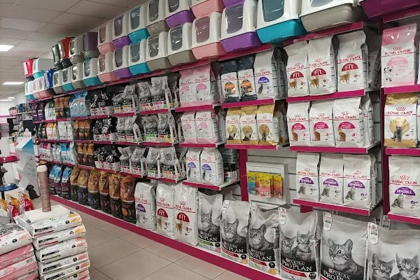 Nehir pet shop ve akvaryum - Resim 14
