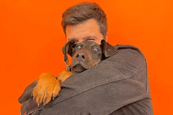 KONYA-PET Veteriner Kliniği. | Acil |Veteriner ilaç|Konya Veteriner | Nöbetçi Veteriner - Resim 8