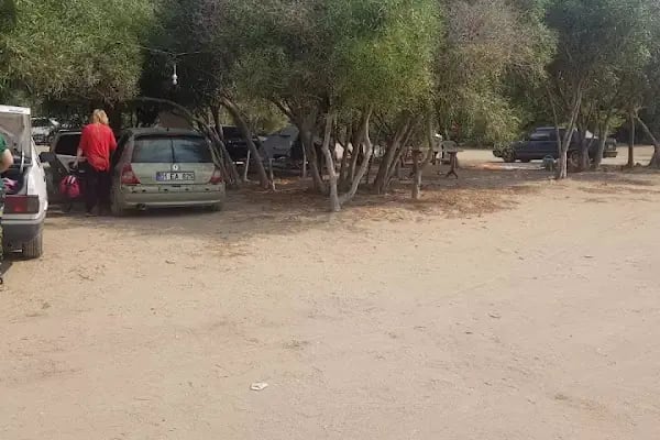 Paşa Camping - Resim 3