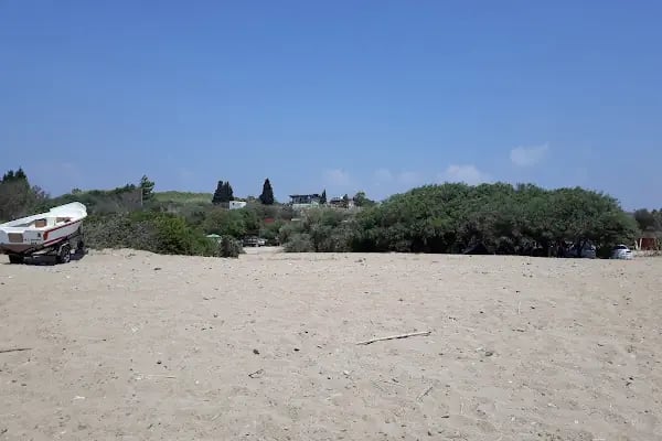 Paşa Camping - Resim 20