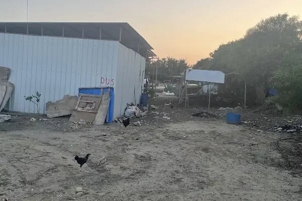 Paşa Camping - Resim 14