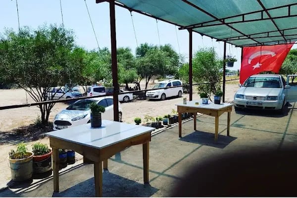 Paşa Camping - Resim 6