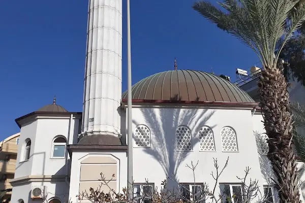 Hasan Şenli Saray Cami - Resim 2