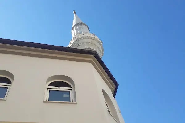 Hasan Şenli Saray Cami - Resim 11